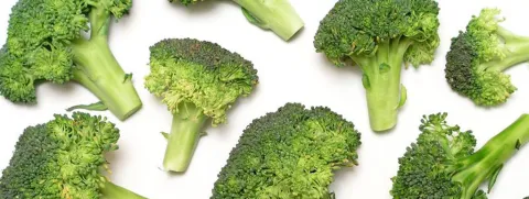 Broccoli ondersteunt lever en ontgifting