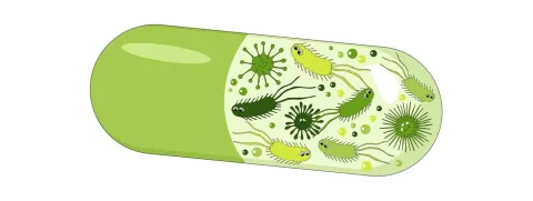 Gunstig effect van probiotica op inflammatoire biomarkers