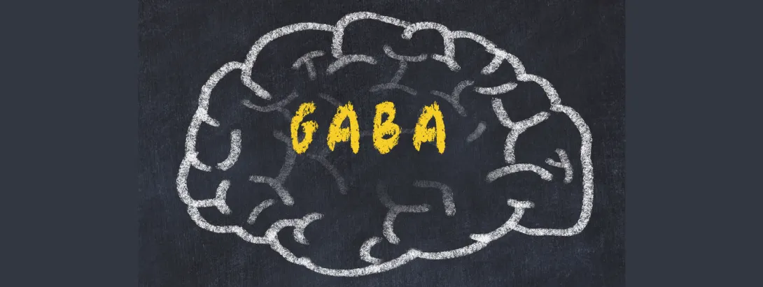 GABA ondersteunt cognitieve functie