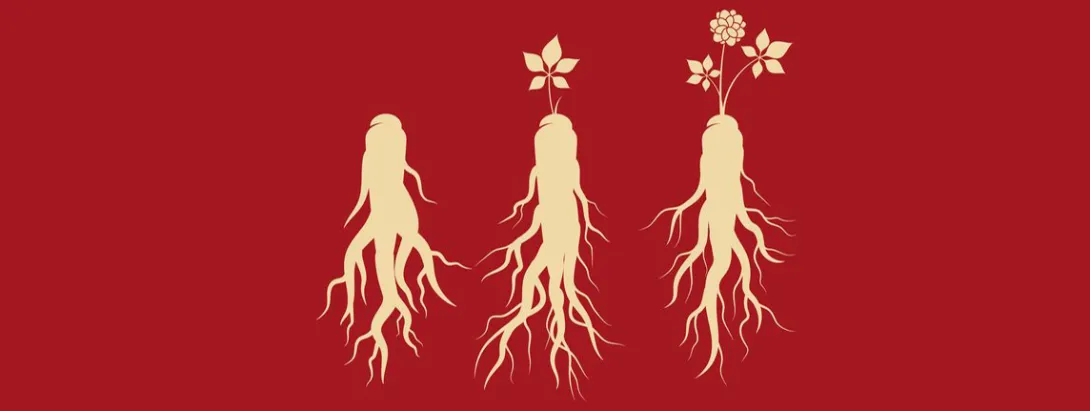 Ginseng vermindert moeheid door kanker