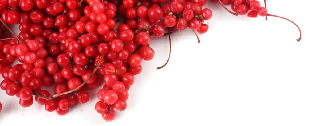 Schisandra-extract maakt vrouw sterker