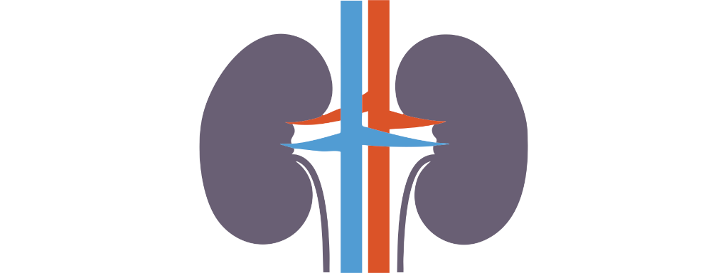 Oxaalzuur en niersteenvorming