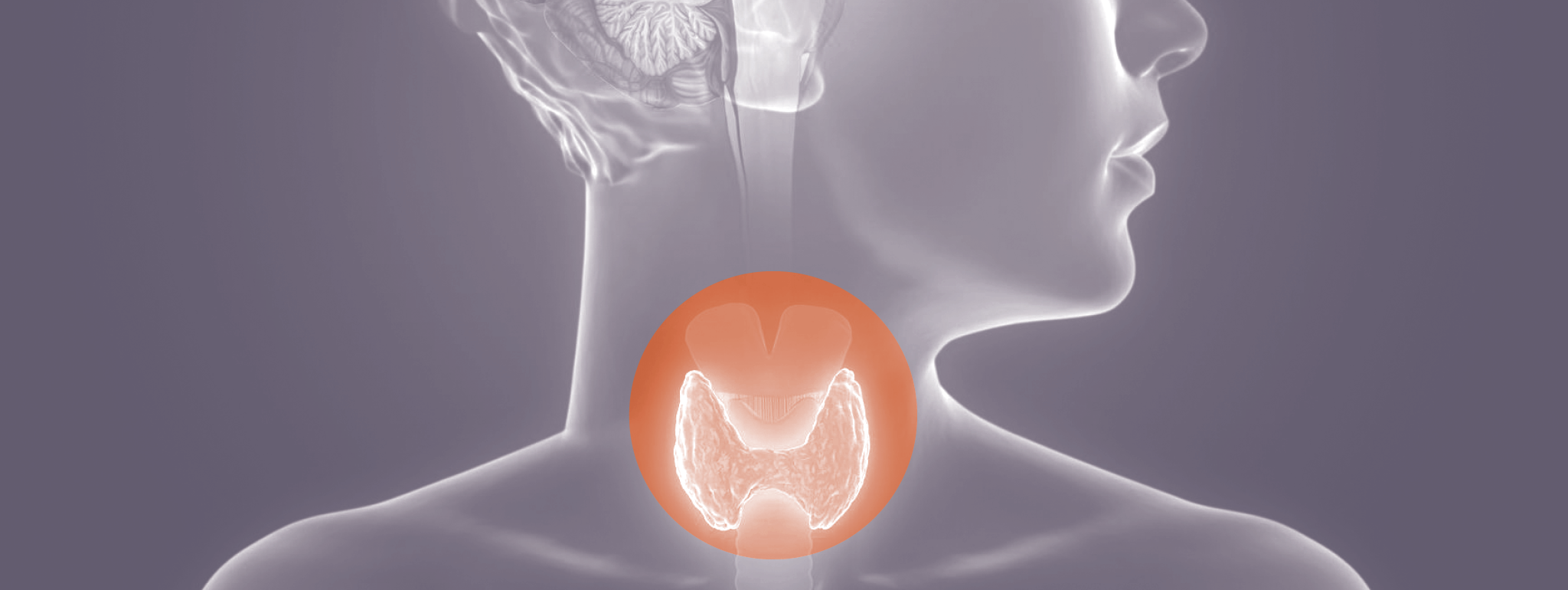  Jodiumsuppletie voor zwangeren met auto-immuun thyreoïditis