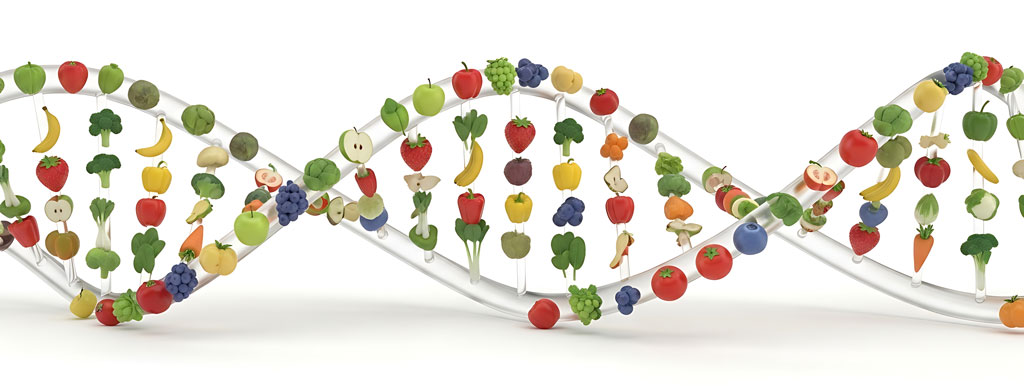 Echte voeding in de voedingsrichtlijnen