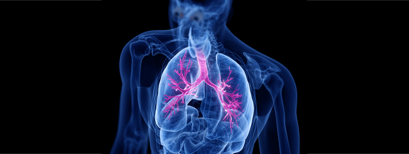 Vitamine D bij cystische fibrose