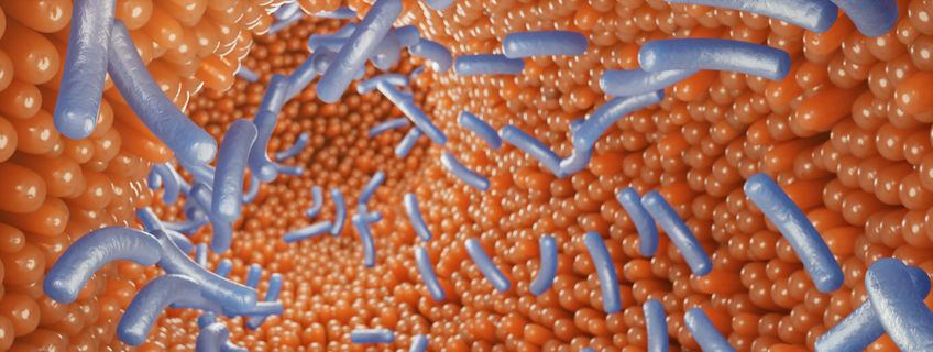 Korteketenvetzuren grote impact op gezondheid