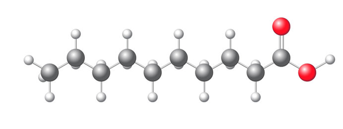 Decaanzuur versus epilepsie