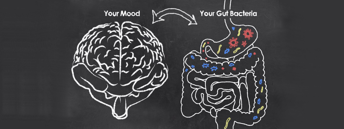 Probiotica verbeteren stemming