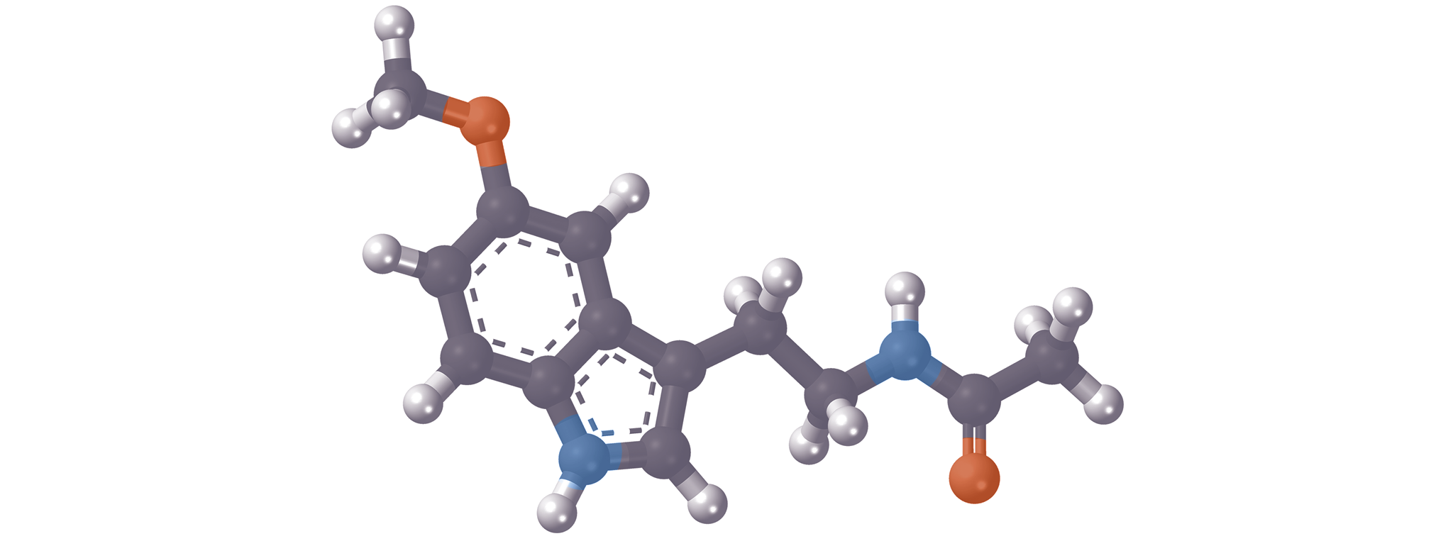 Melatonine steun voor het hart