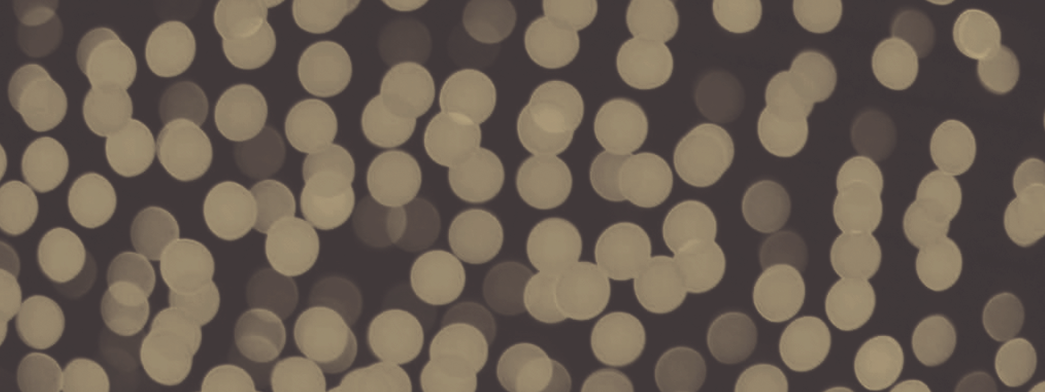 Pediococcus acidilactici, een psychobioticum