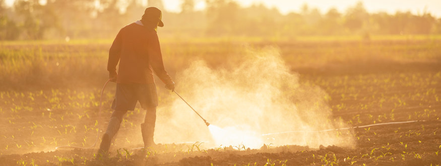 Mediterrane voeding alleen gezond als het biologisch is?