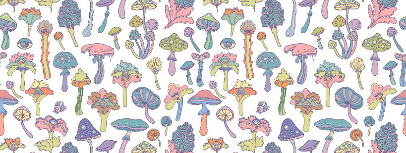 Psilocybine vs alcoholverslaving