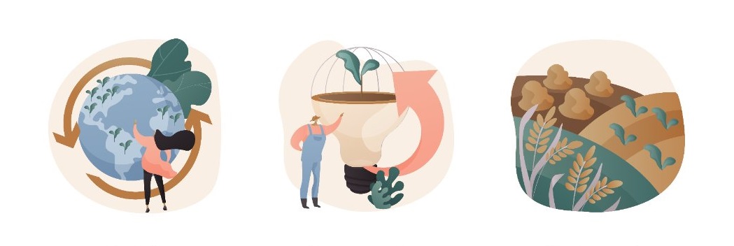 Meer voedingsstoffen in gewassen van regeneratieve landbouw 