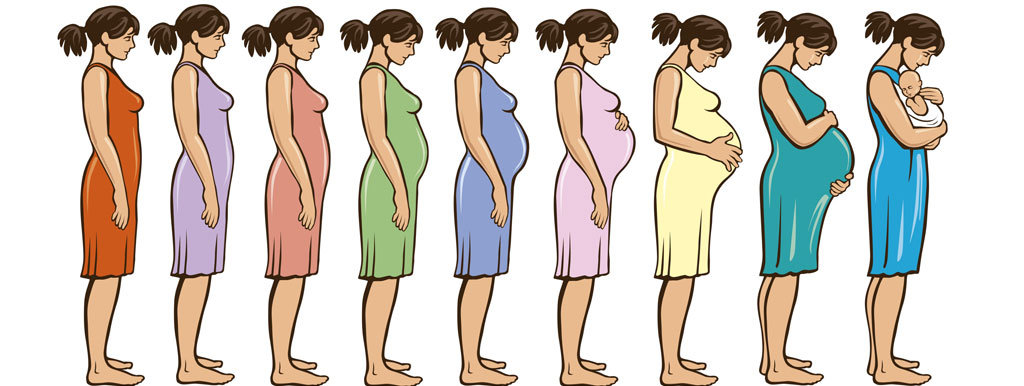 Prebiotica tijdens de zwangerschap