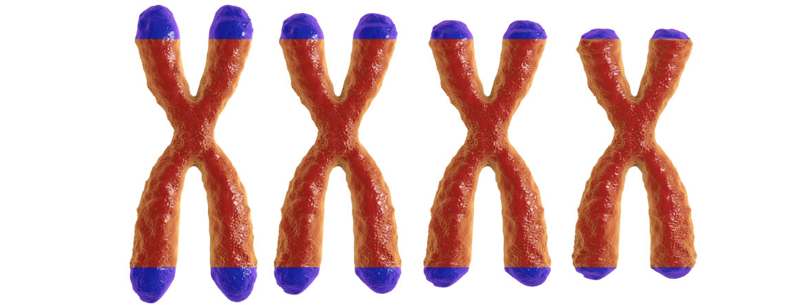 Telomeren vs sterftekans