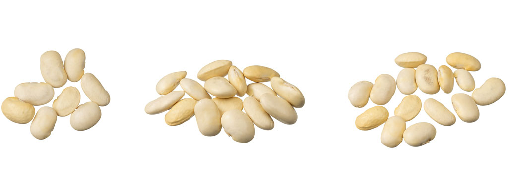 Witte bonen gunstig voor functie darmmicrobiota 