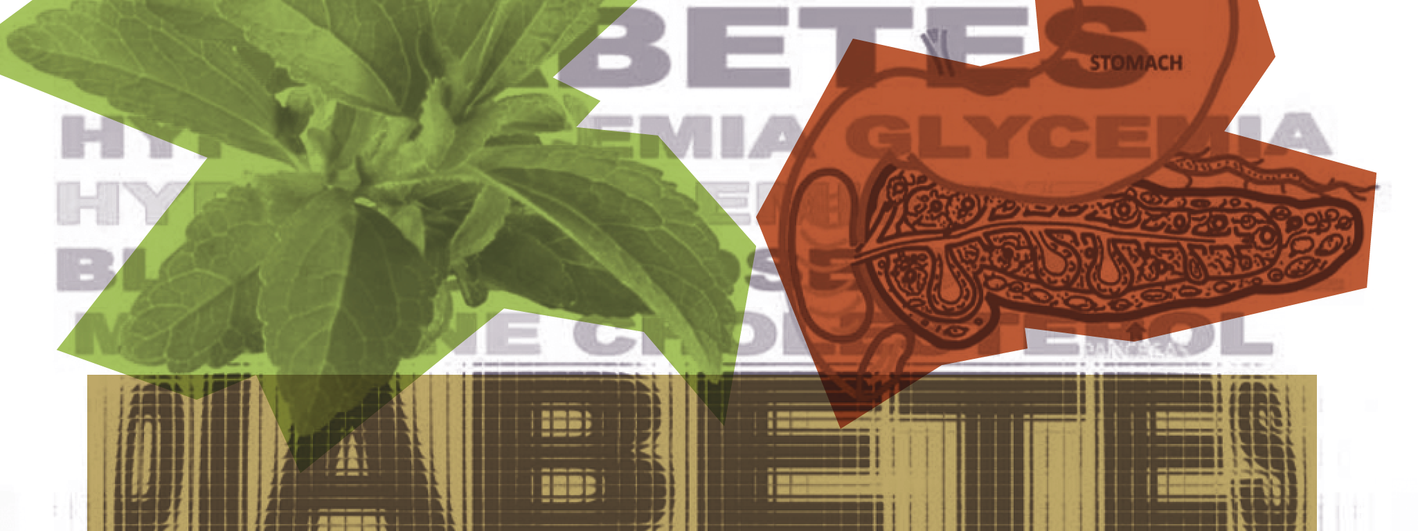 Ayurvedische kijk op suikerbalans