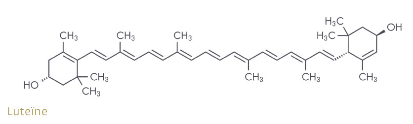 molecuulstructuur van luteïne
