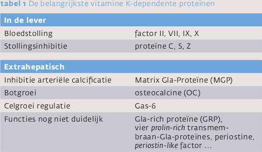 Vitamine K-afhankelijke proteïnen