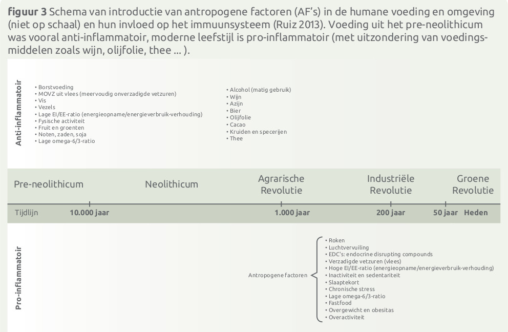 Antropogenen factoren in voeding en omgeving
