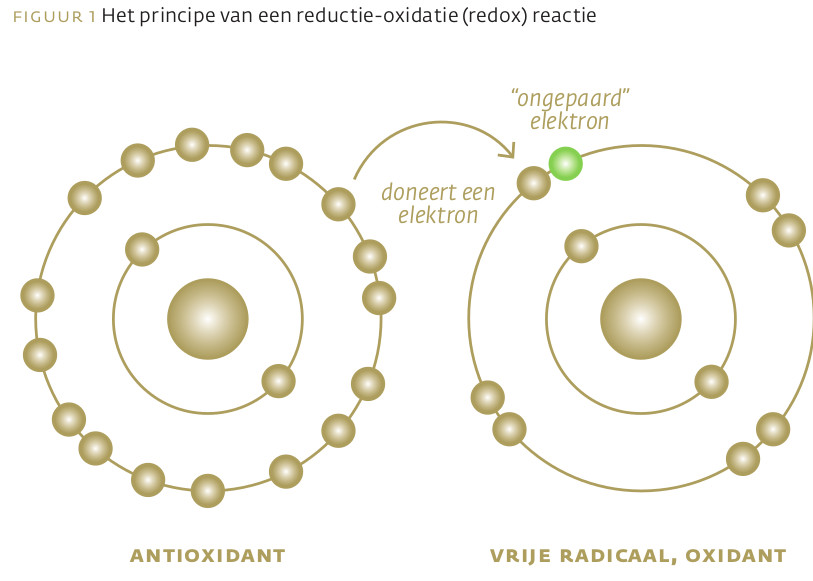 figuur 1 Principe van een antioxidant