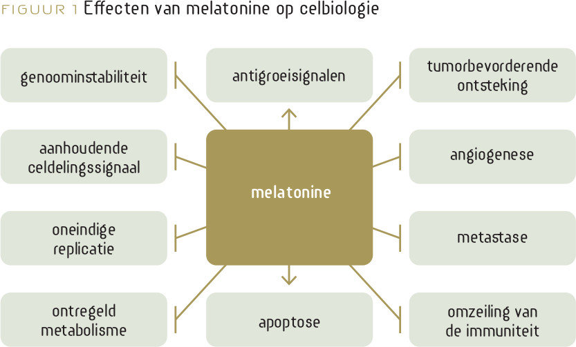 Celbiologische effecten van melatonine