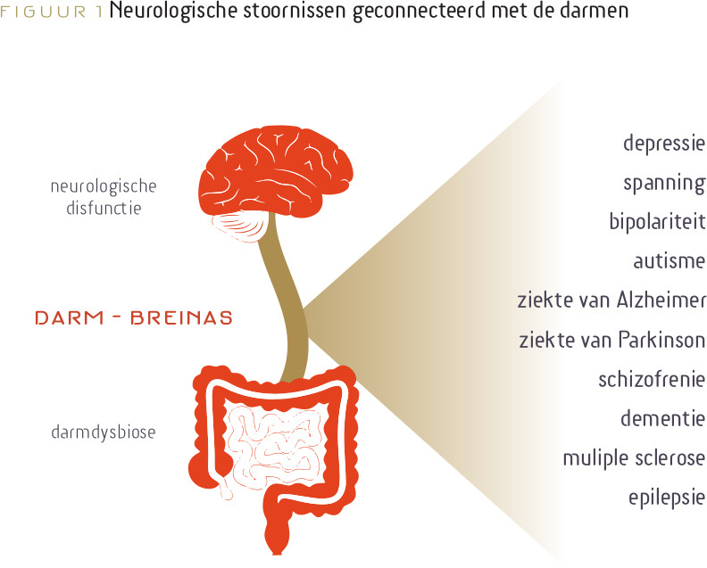 figuur 1 Neurologische stoornissen geconnecteerd met de darmen