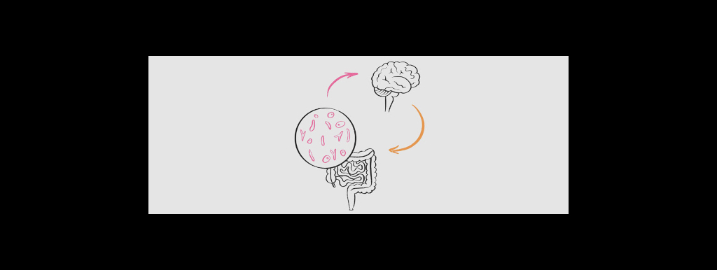 Probiotica tonen beperkte mentale winst