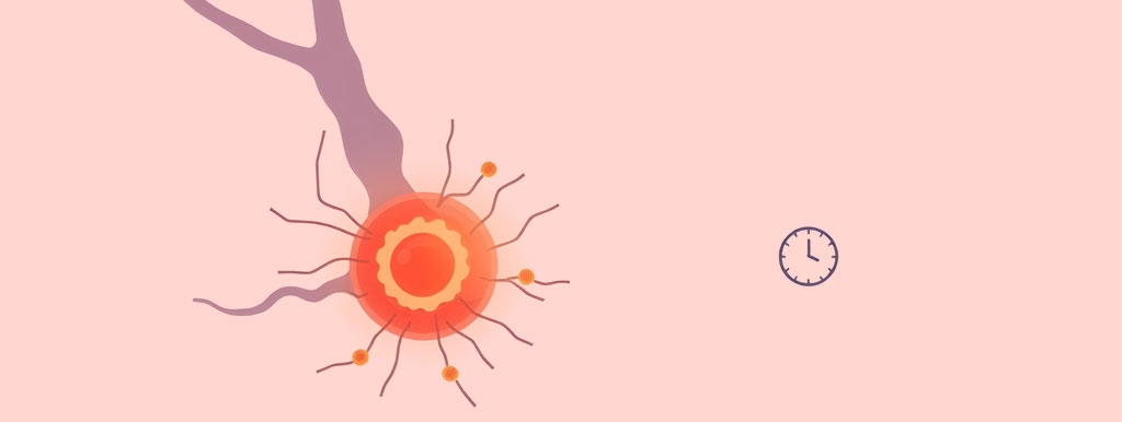 Korte vastenkuur versterkt immuuntherapie