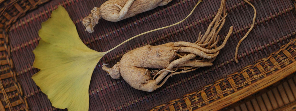 ginko_ginseng