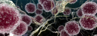 Nutritioneel supplement tegen multiple sclerose