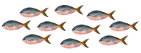 Omega-3 als bloedstollingsremmer