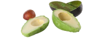 Avocadopit mogelijk werkzaam tegen leukemie