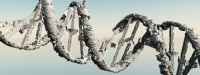 Genoeg zink voorkomt DNA-schade