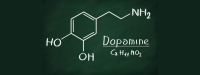 Slaap-waakritme afhankelijk van dopamine