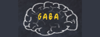 GABA ondersteunt cognitieve functie