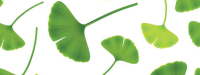 Kwaliteit rhodiola en ginkgo ter discussie
