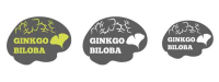 Ginkgo biloba gaat vasculaire dementie tegen