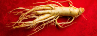 Ginseng vermindert risico op kanker