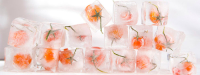 Waarom gekoelde tomaten hun smaak verliezen
