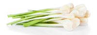 Knoflook gunstig bij diabetes