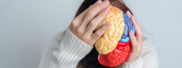 Tryptofaan, probiotica en de hersenen