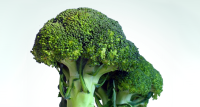 Tweezijdig effect van broccoli bij astma