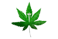 Cannabisextract bedwingt agressieve hersentumor