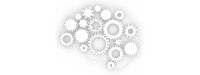 Luteine en zeaxanthine voor efficiëntere informatieverwerking