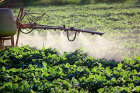 Pesticiden veroorzaken alzheimer