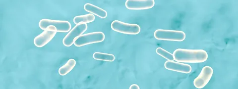 Probioticum verbetert slaap