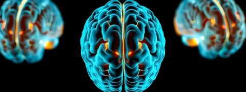 B-vitaminen ondersteunen cognitie bij hemodialyse
