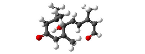 Abscisinezuur bij prediabetes