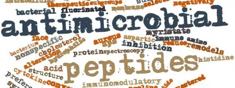 Peptiden bestrijden resistente bacteriën en biofilms